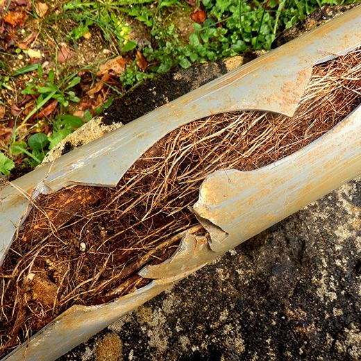 The Drain & Sewer Professionals In Mclaren Vale